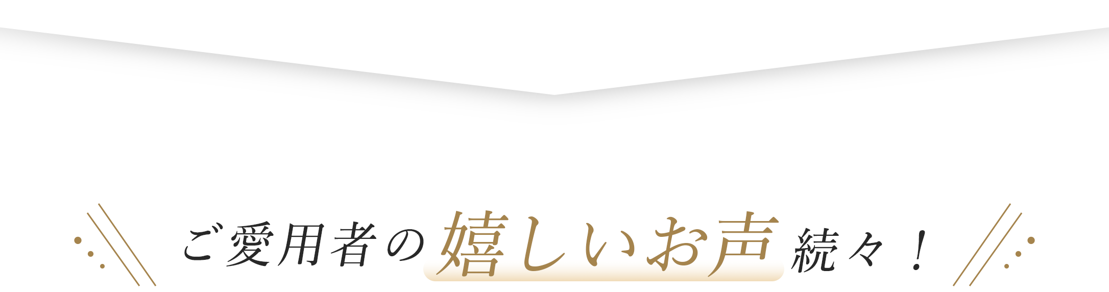 バナー画像